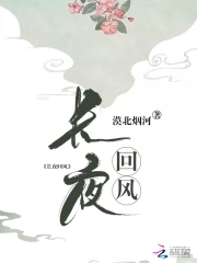 长夜流风阅读量